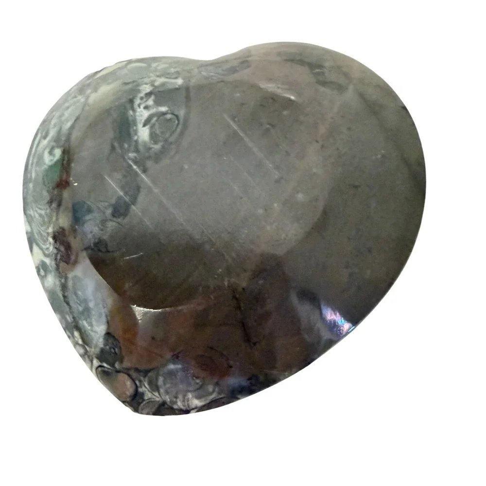 Ammonite Orthoceras Fossil HeartBlack Grey Polished Natural Orthoceras Read 4.5